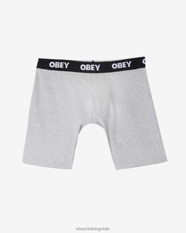 accesorios 40VX487 hombres boxers de trabajo estándar (paquete de 2) OBEY gris ceniza