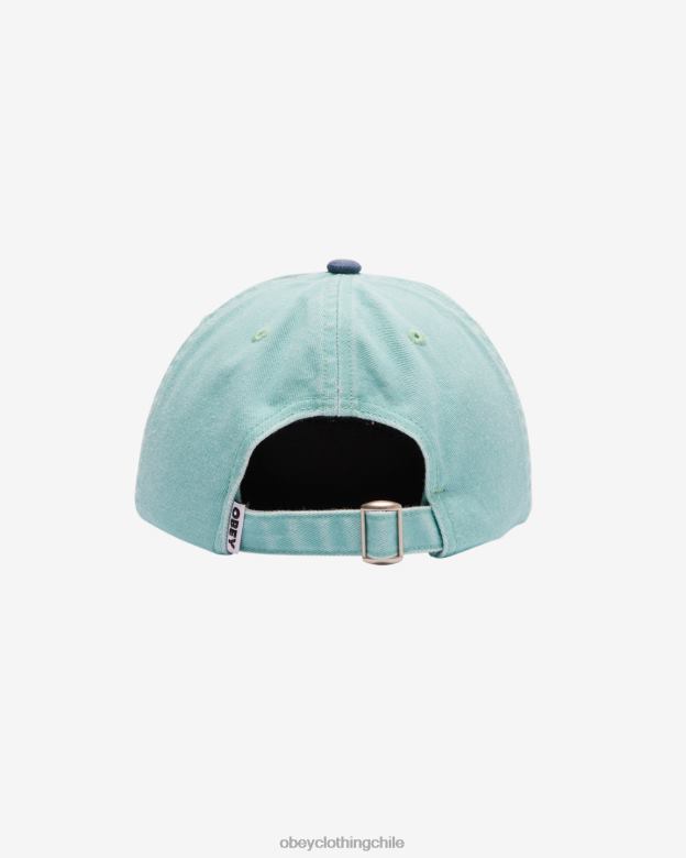 accesorios 40VX413 hombres pigmento ii tono minúsculas 6 paneles OBEY pigmento surf spray multi