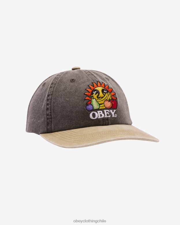 accesorios 40VX414 hombres frutas pigmentadas snapback de 6 paneles OBEY pigmento negro multi
