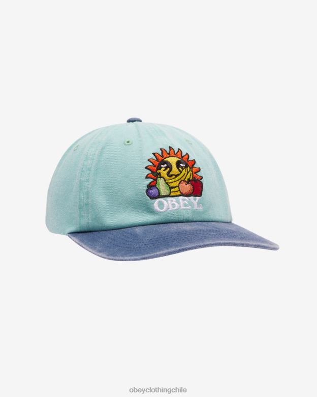 accesorios 40VX415 hombres frutas pigmentadas snapback de 6 paneles OBEY pigmento sea spray multi