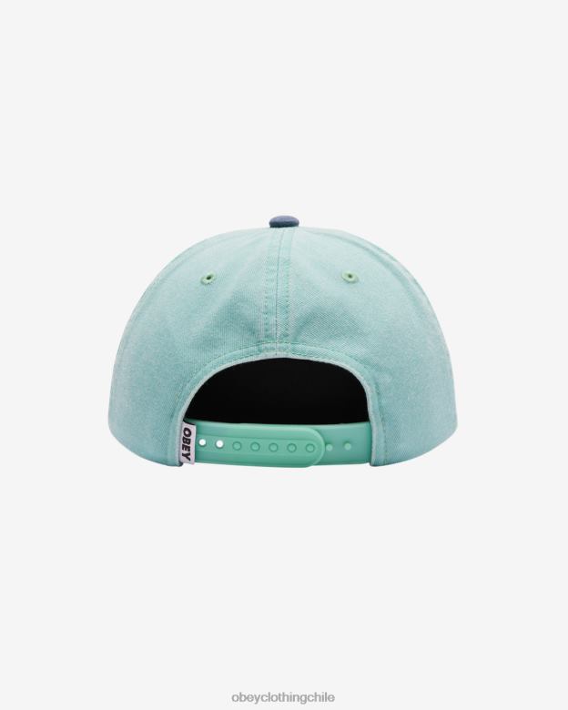 accesorios 40VX415 hombres frutas pigmentadas snapback de 6 paneles OBEY pigmento sea spray multi