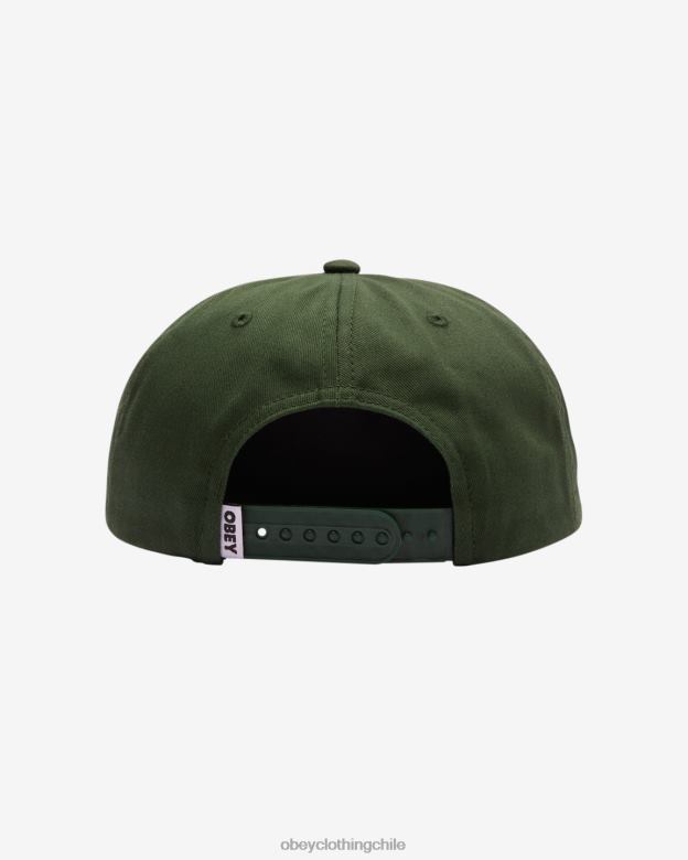 accesorios 40VX431 hombres broche de 5 paneles en minúsculas OBEY cedro oscuro