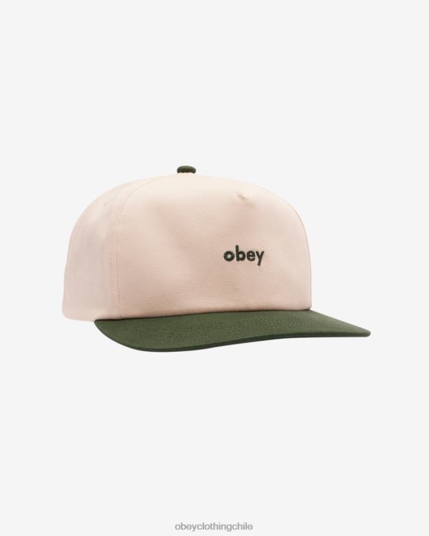accesorios 40VX433 hombres funda snapback de 5 paneles OBEY cedro verde multi