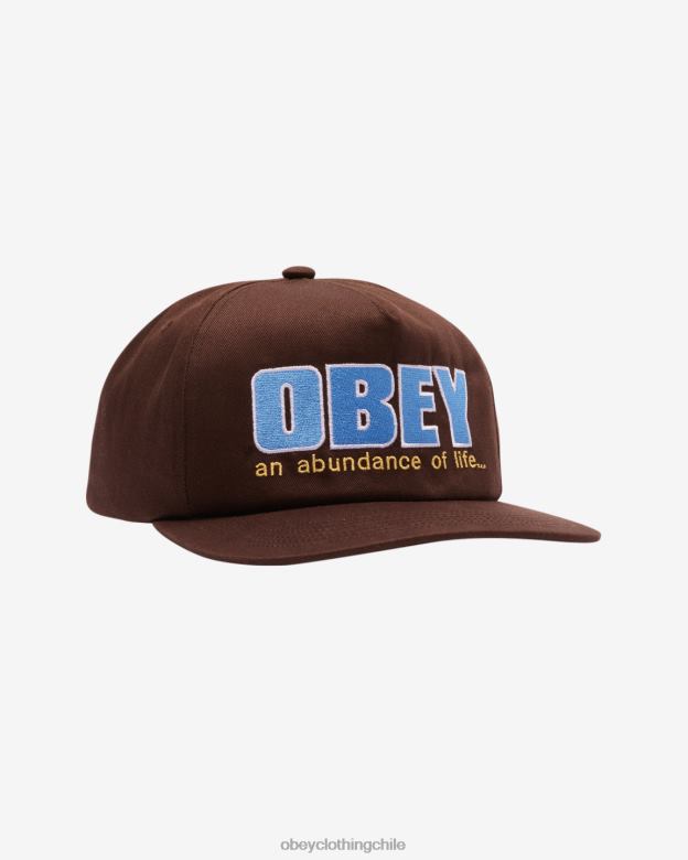 accesorios 40VX436 hombres snapback de 5 paneles de abundancia OBEY java marrón