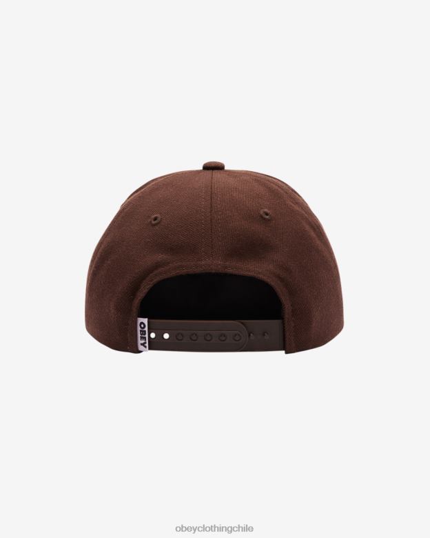 accesorios 40VX458 hombres panel de la academia 6 OBEY chocolate negro