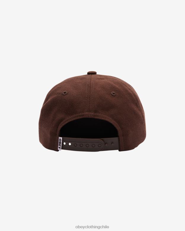 accesorios 40VX464 hombres minúsculas 6 paneles OBEY chocolate negro