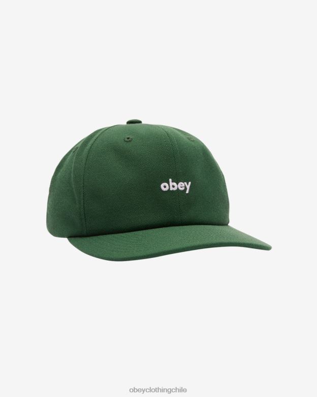 accesorios 40VX465 hombres minúsculas 6 paneles OBEY aguja de pino