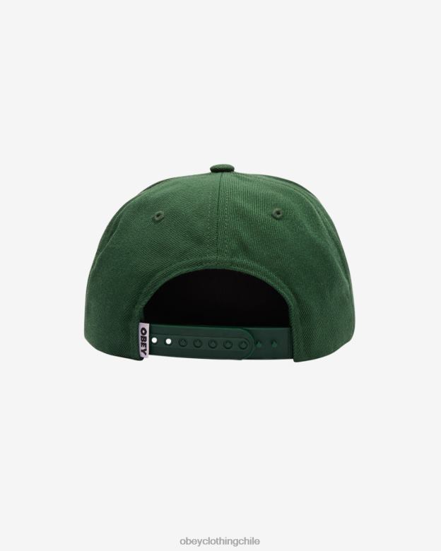 accesorios 40VX465 hombres minúsculas 6 paneles OBEY aguja de pino
