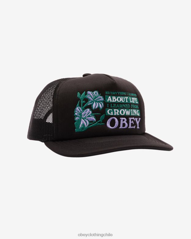 accesorios 40VX478 hombres camionero de la vida OBEY negro