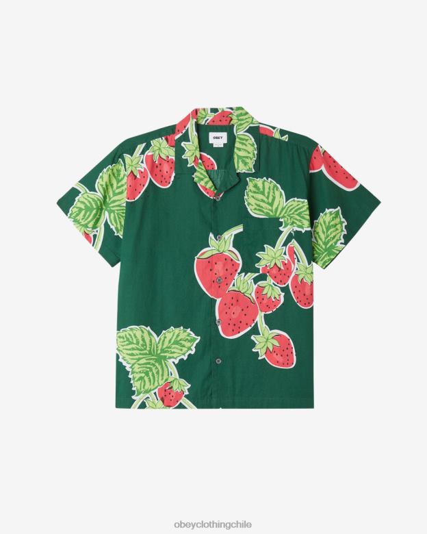 ropa 40VX140 hombres camisa de bayas jumbo OBEY edén multi