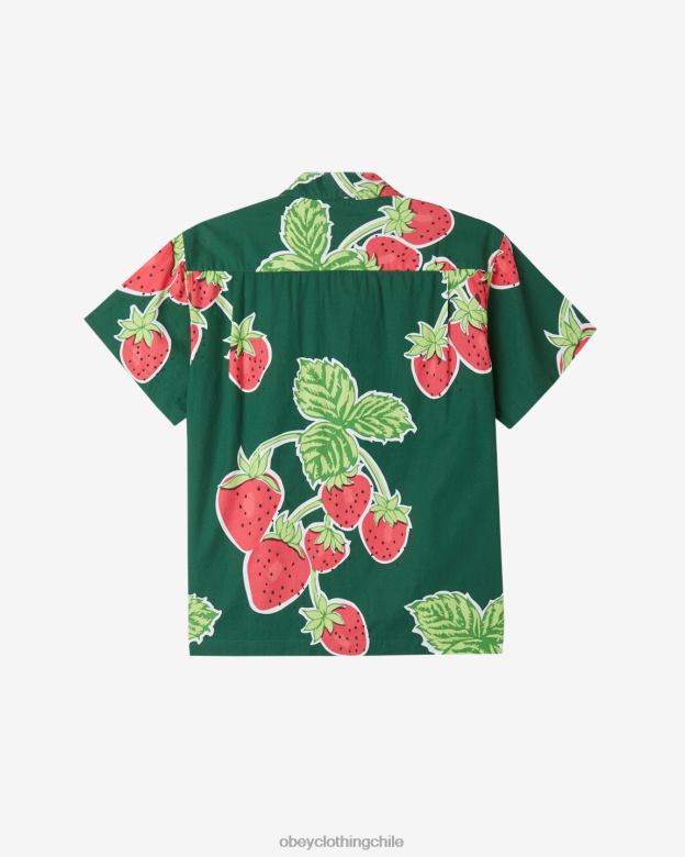 ropa 40VX140 hombres camisa de bayas jumbo OBEY edén multi