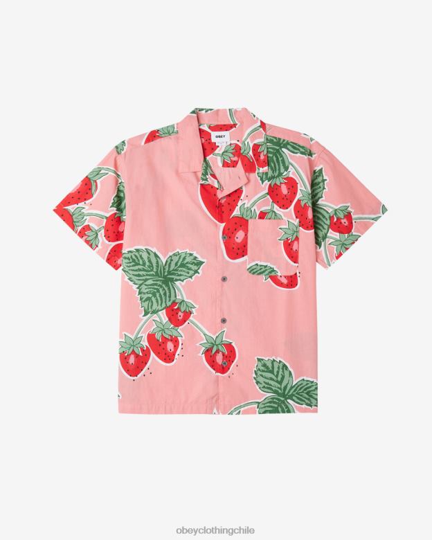 ropa 40VX141 hombres camisa de bayas jumbo OBEY flamenco rosa multi