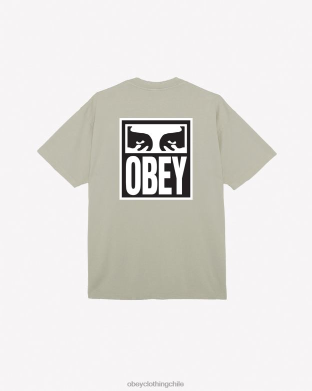 ropa 40VX274 hombres camiseta de peso pesado Eyes Icon II OBEY Gris plateado