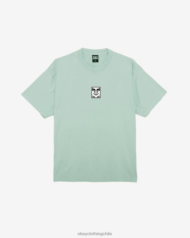 ropa 40VX275 hombres camiseta con icono de peso pesado OBEY spray para surfear