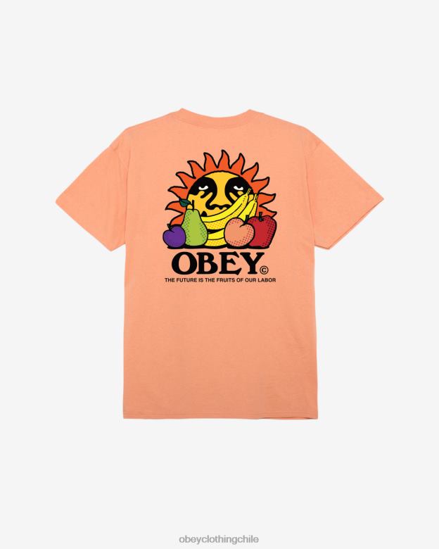 ropa 40VX292 hombres El futuro son los frutos de nuestra camiseta clásica laboral. OBEY agrios