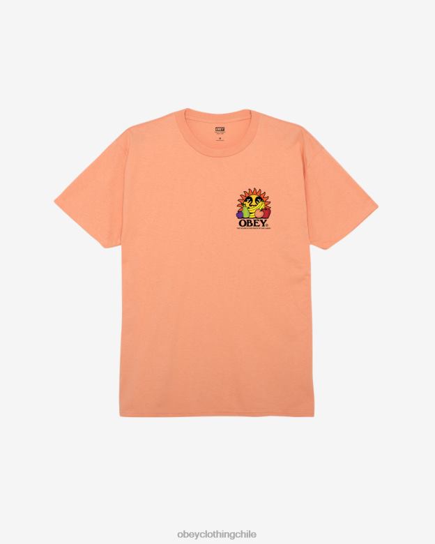 ropa 40VX292 hombres El futuro son los frutos de nuestra camiseta clásica laboral. OBEY agrios
