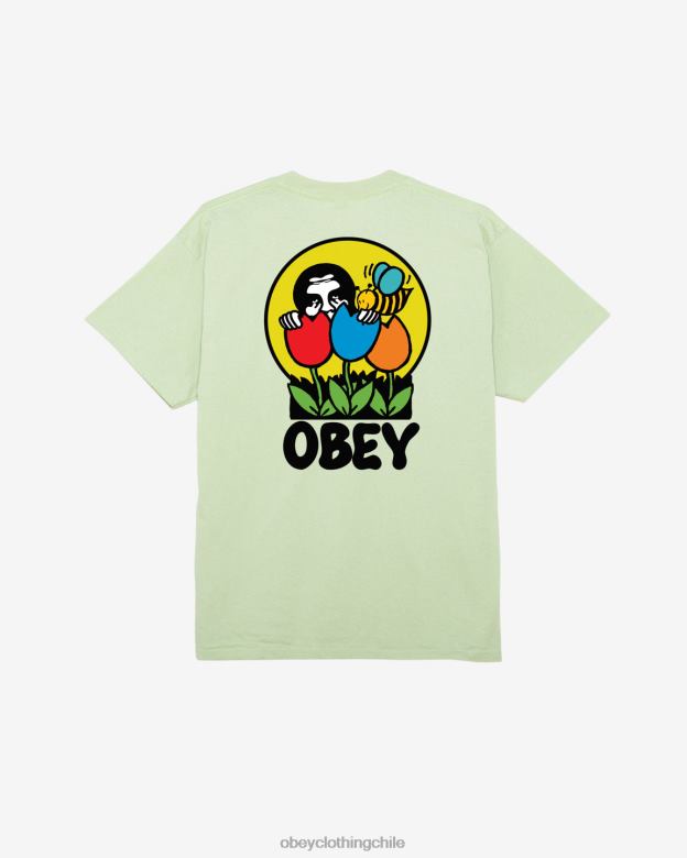 ropa 40VX297 hombres estaba aquí camiseta clásica OBEY pepino