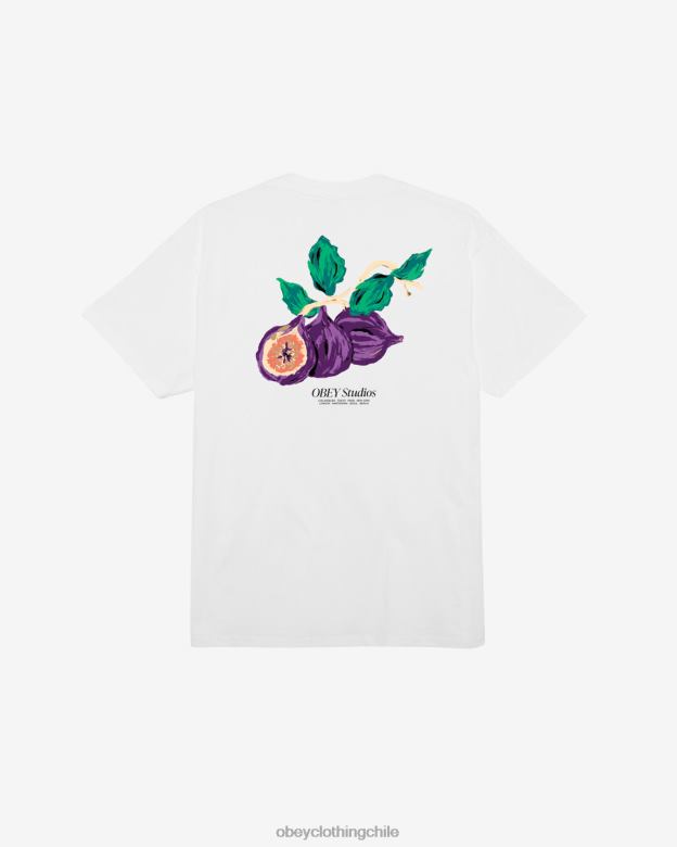 ropa 40VX318 hombres camiseta clásica de estudios OBEY blanco