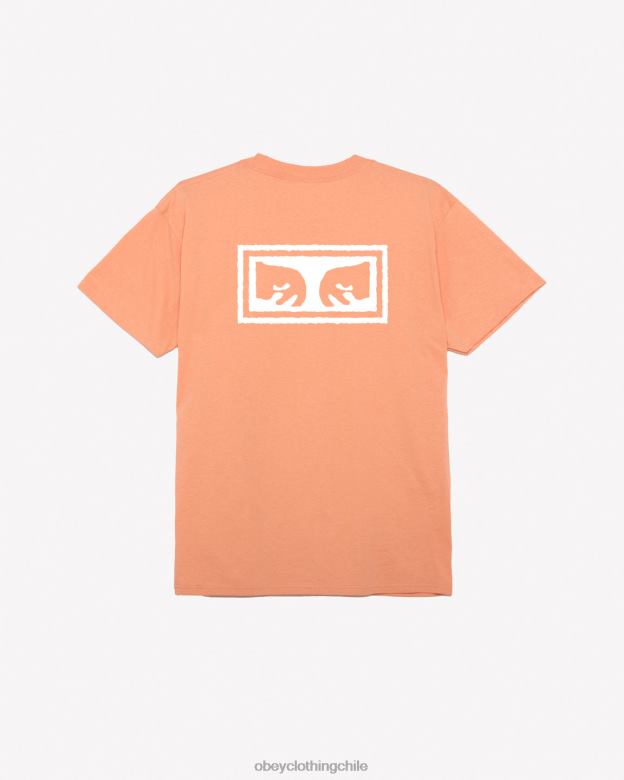 ropa 40VX343 hombres camiseta clásica ojos iii OBEY agrios