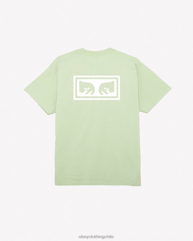 ropa 40VX344 hombres camiseta clásica ojos iii OBEY pepino