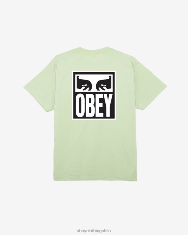 ropa 40VX349 hombres camiseta clásica ojos icono ii OBEY pepino