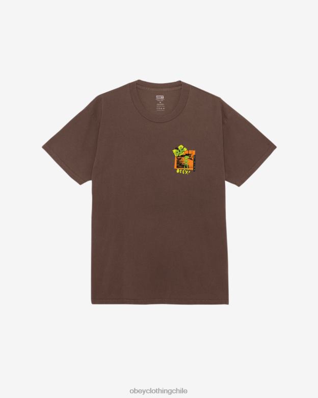 ropa 40VX364 hombres Tienes que tener una camiseta con pigmento de ensueño. OBEY pigmento marrón java