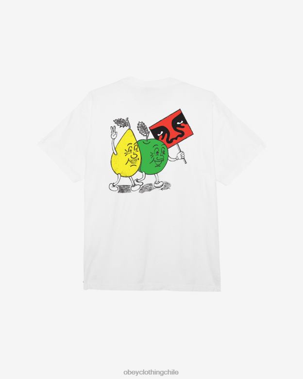 ropa 40VX380 hombres camiseta pesada de protesta pacífica OBEY blanco