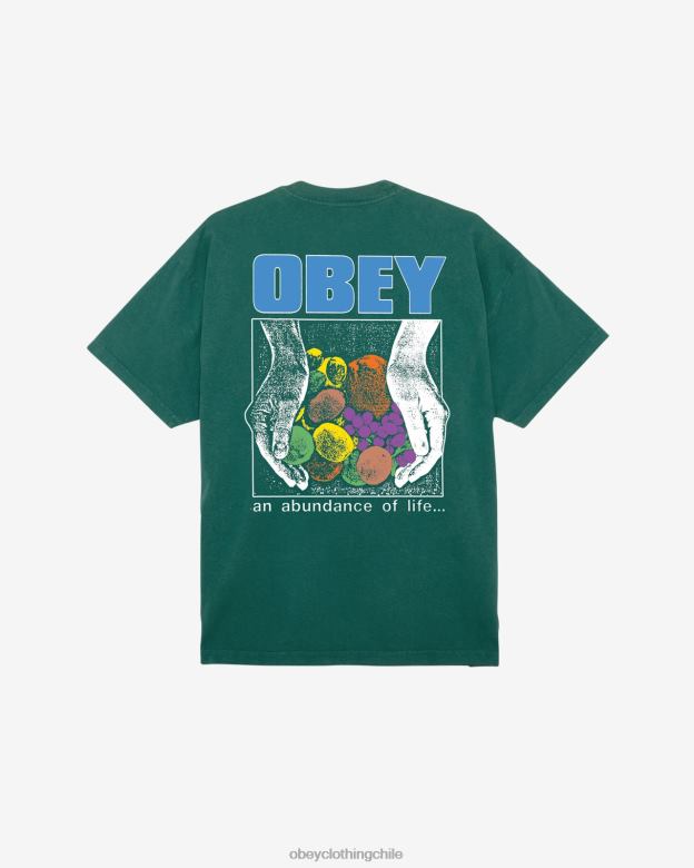 ropa 40VX395 hombres una abundancia de vida camiseta pesada OBEY aventura verde