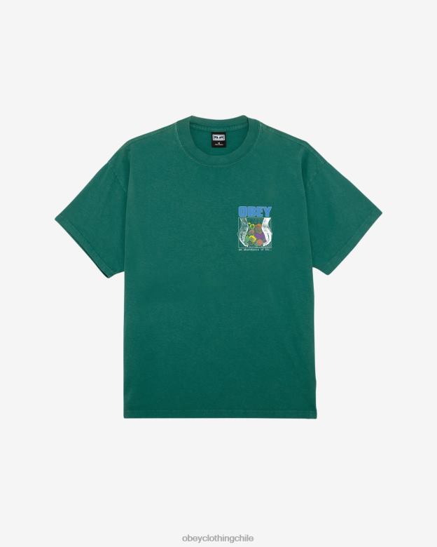 ropa 40VX395 hombres una abundancia de vida camiseta pesada OBEY aventura verde