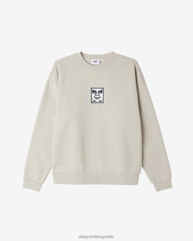 ropa 40VX226 hombres sudadera icon extraheavy ii OBEY Gris plateado
