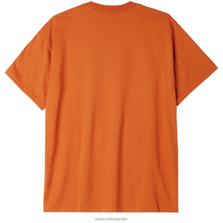 ropa 40VX806 hombres camiseta con bolsillo de puntos OBEY marrón bombay