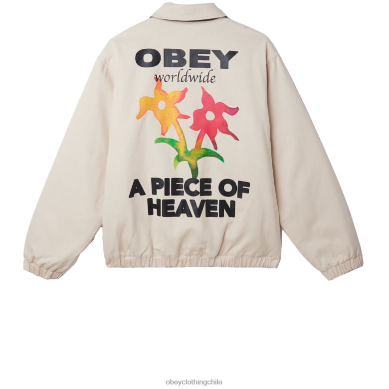 ropa 40VX830 hombres chaqueta leimert OBEY arcilla