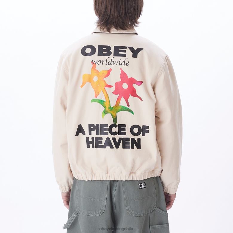ropa 40VX830 hombres chaqueta leimert OBEY arcilla