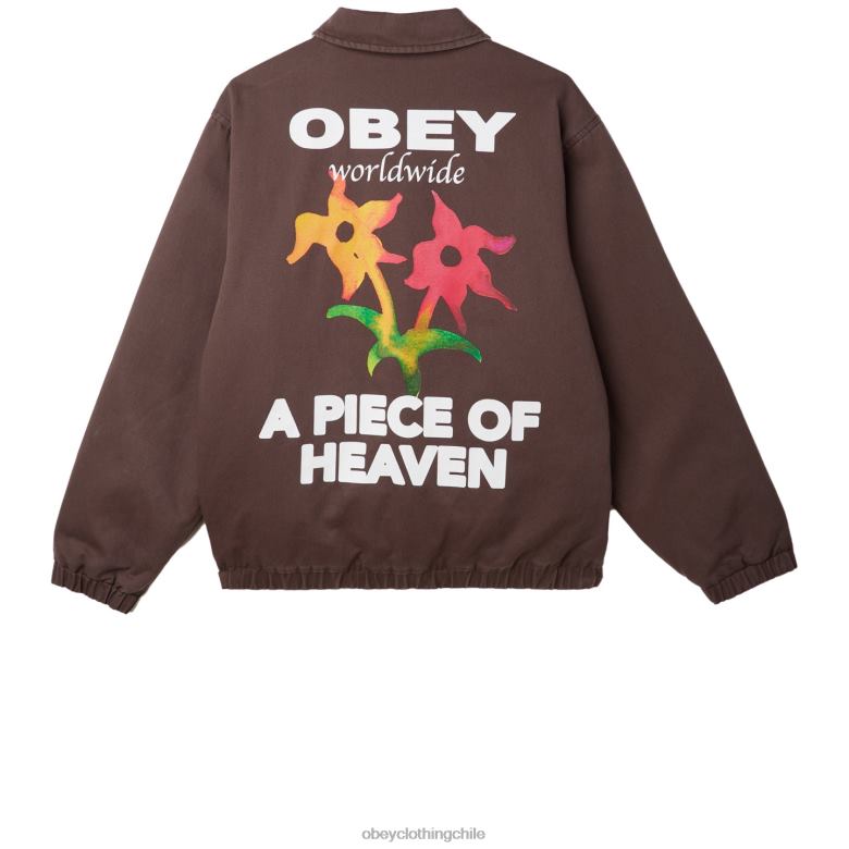 ropa 40VX831 hombres chaqueta leimert OBEY marron oscuro