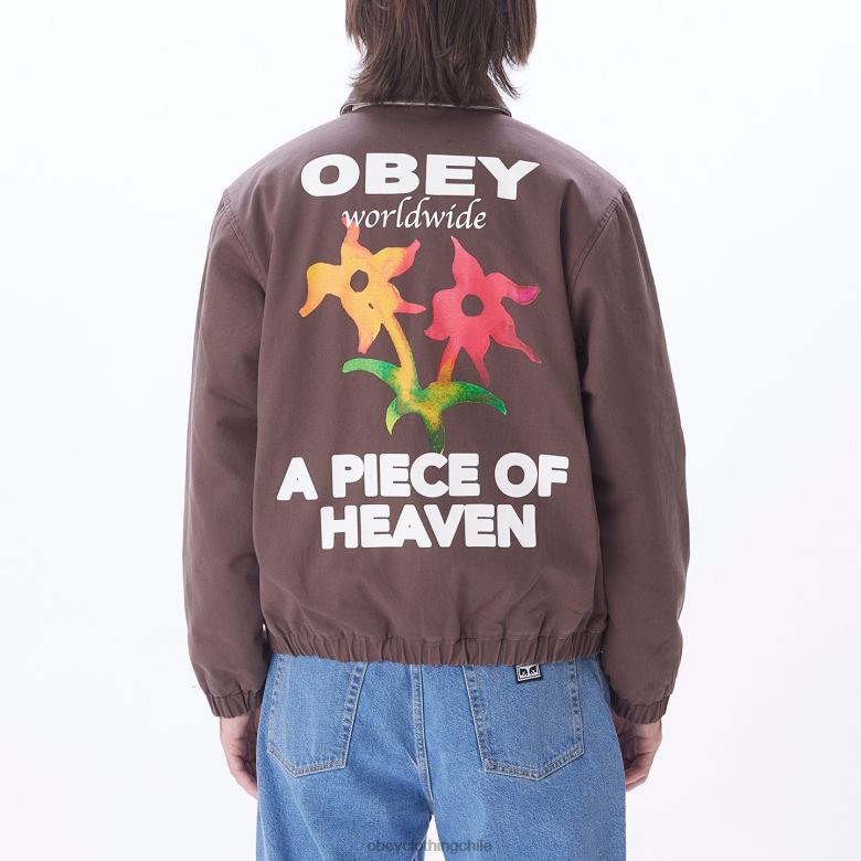 ropa 40VX831 hombres chaqueta leimert OBEY marron oscuro