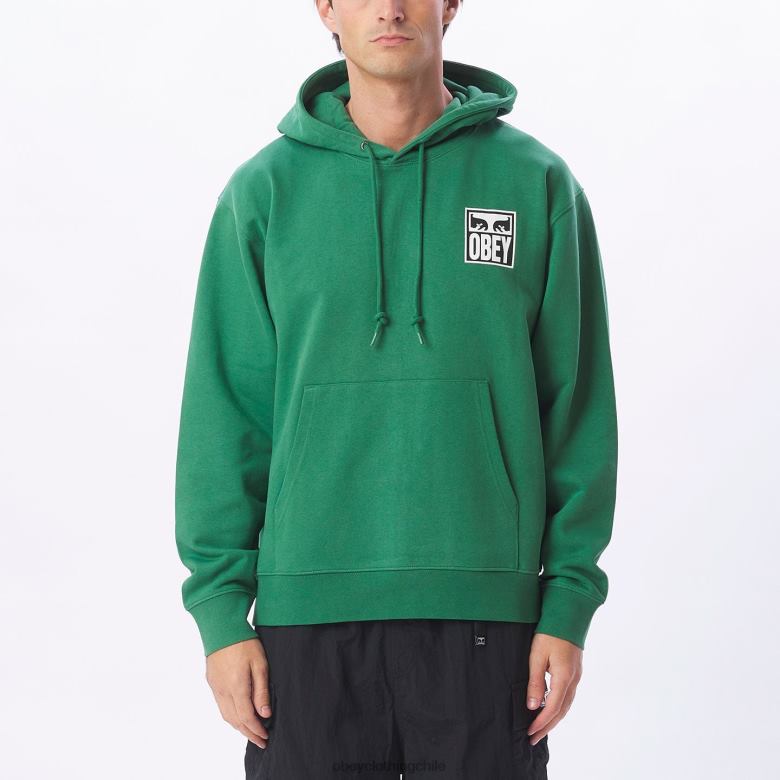 ropa 40VX1007 hombres Sudadera con capucha pesada Eyes Icon II OBEY hoja de palma