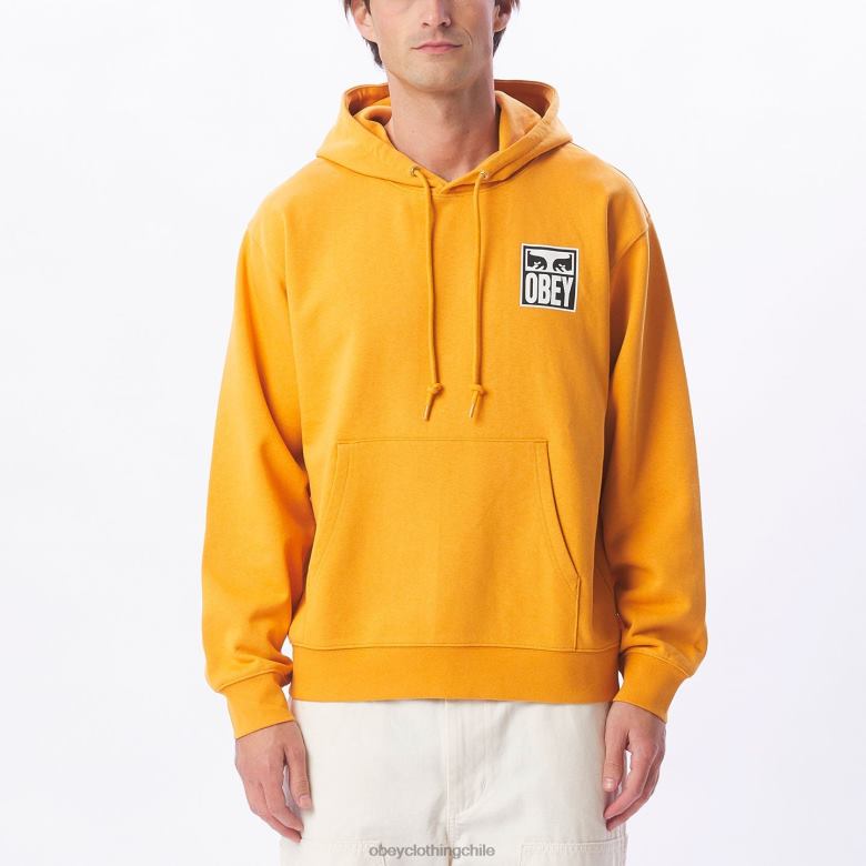 ropa 40VX1008 hombres Sudadera con capucha pesada Eyes Icon II OBEY reloj de sol
