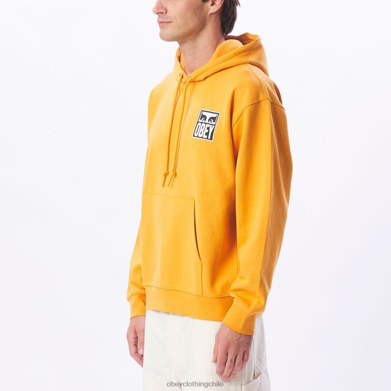 ropa 40VX1008 hombres Sudadera con capucha pesada Eyes Icon II OBEY reloj de sol
