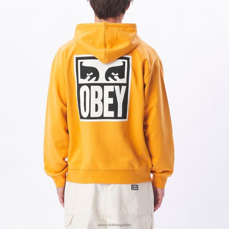 ropa 40VX1008 hombres Sudadera con capucha pesada Eyes Icon II OBEY reloj de sol