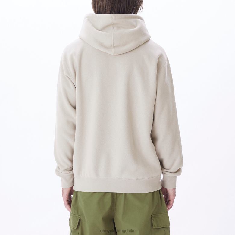 ropa 40VX1015 hombres capucha con capucha en minúsculas OBEY Gris plateado