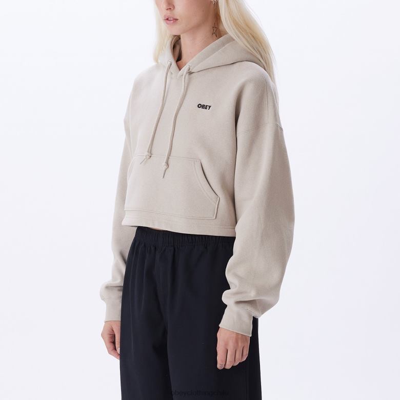 ropa 40VX708 mujer capucha con logo llamativo OBEY Gris plateado
